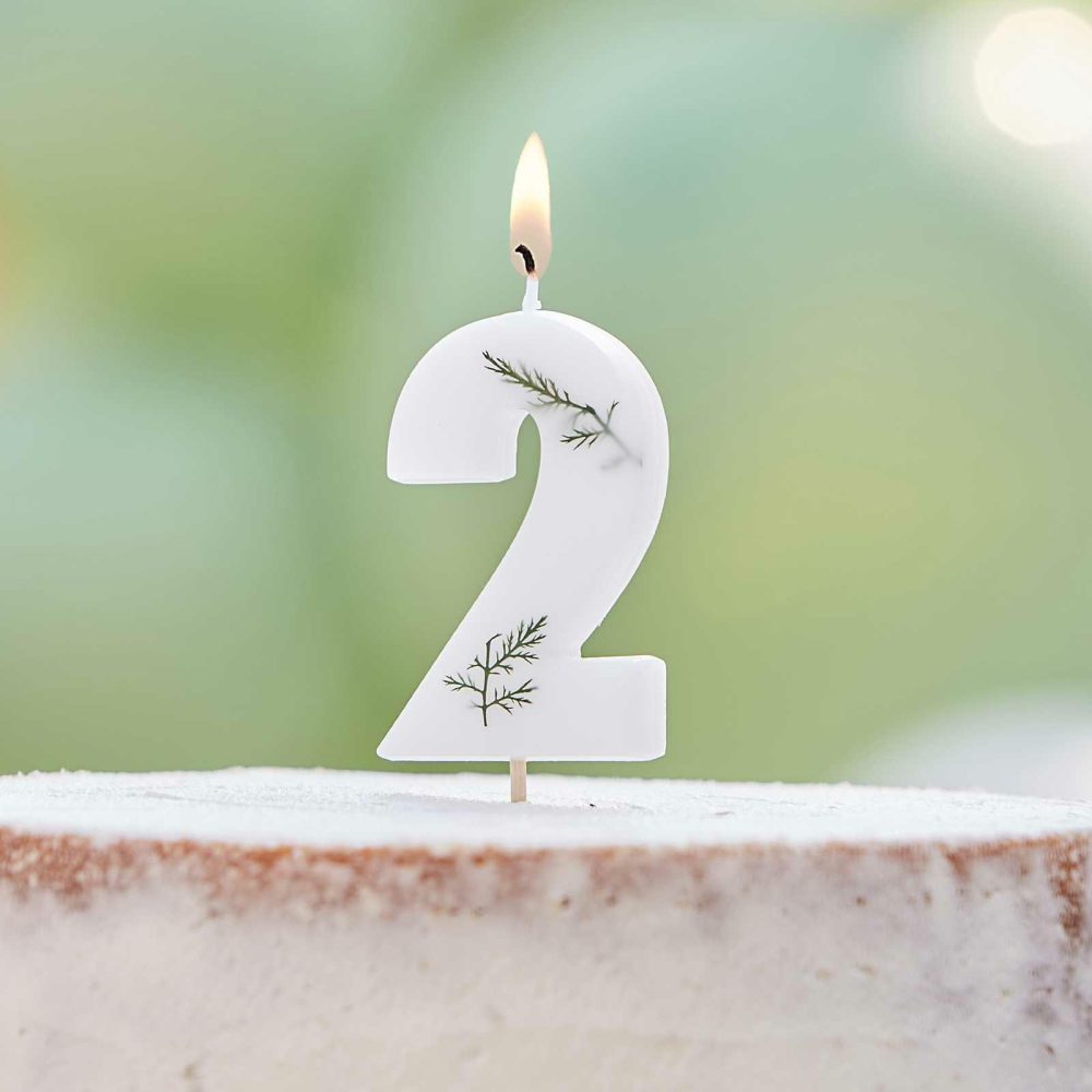 Cake Candles |   Leaf Foliage Number 2 Birthday Candle Cake Candles Cake Candles