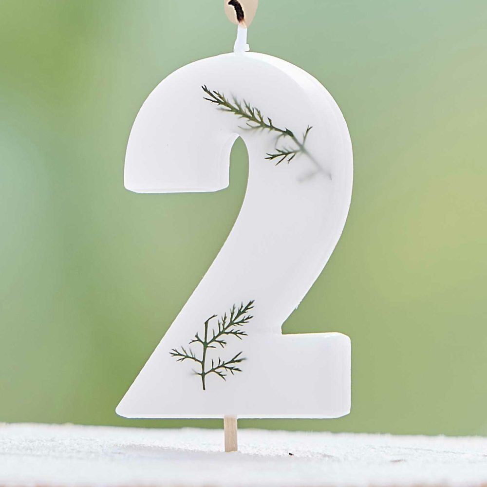 Cake Candles |   Leaf Foliage Number 2 Birthday Candle Cake Candles Cake Candles