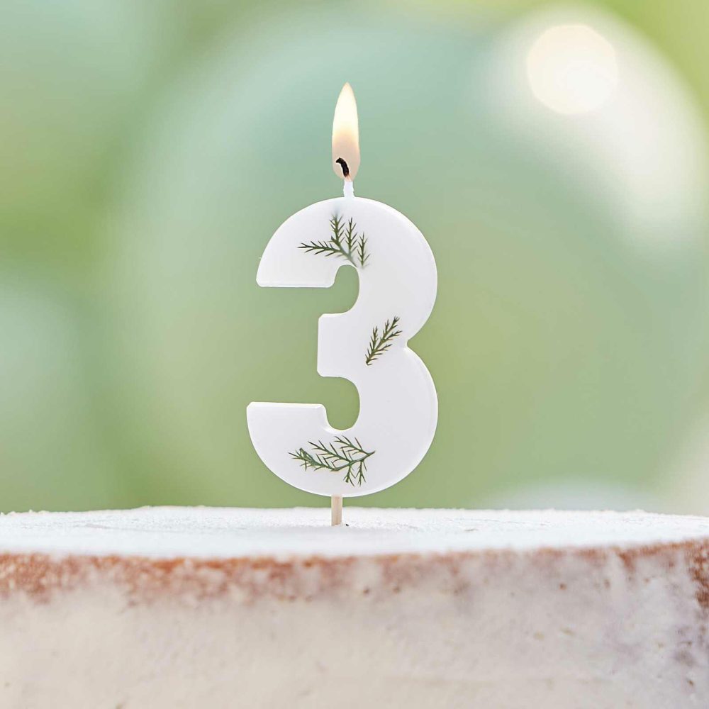 Cake Candles |   Leaf Foliage Number 3 Birthday Candle Cake Candles Cake Candles