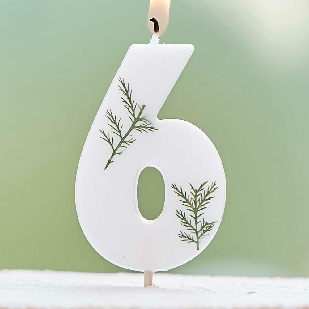 Cake Candles |   Leaf Foliage Number 6 Birthday Candle Cake Candles Cake Candles