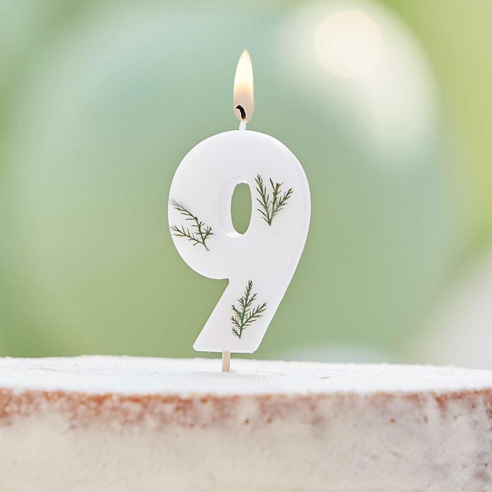 Cake Candles |   Leaf Foliage Number 9 Birthday Candle Cake Candles Cake Candles