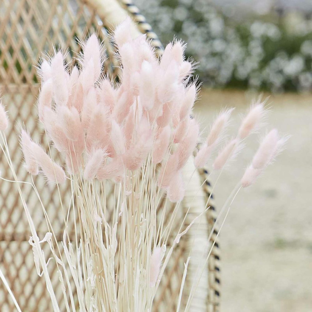 Flowers & Foliage |   Soft Pink Bunny Tail Pampas Grass Flowers & Foliage Flowers & Foliage