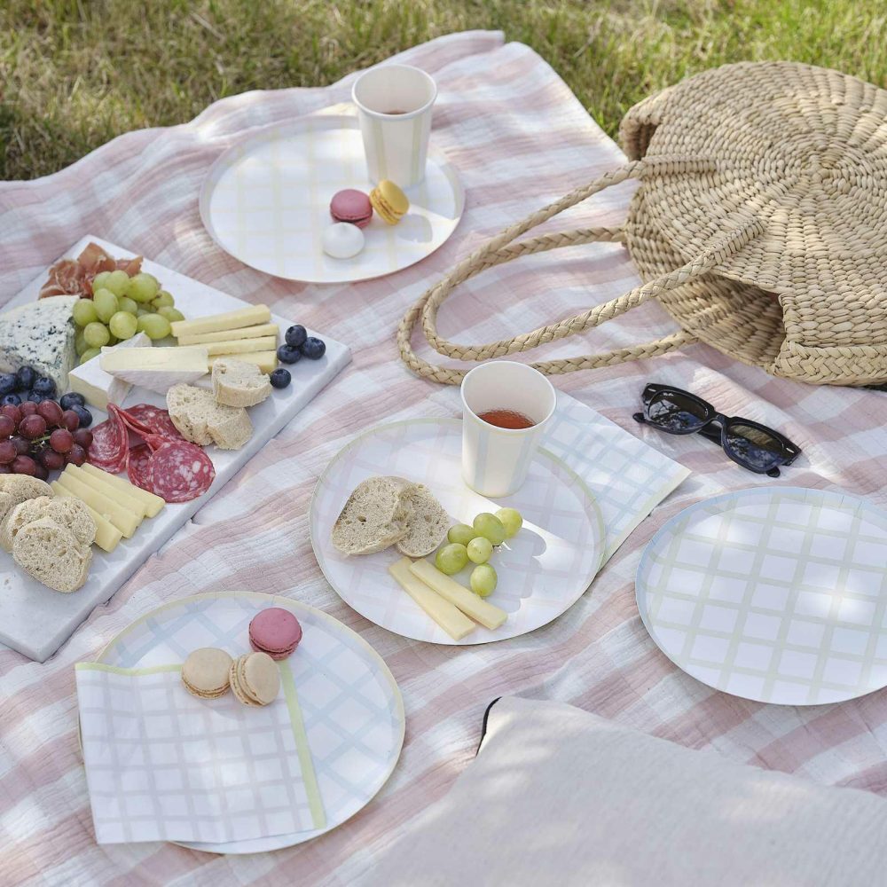 Paper Plates |   Pastel Gingham Paper Plates Paper Plates Paper Plates