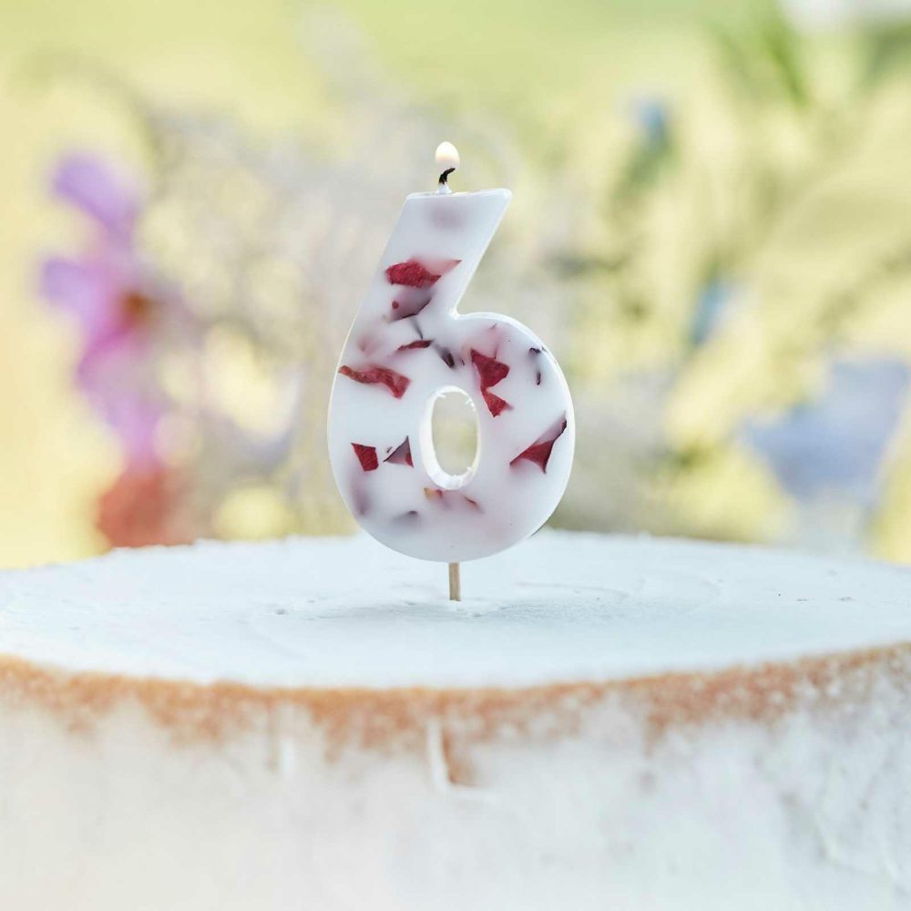 Cake Candles |   Pressed Petal Number 6 Birthday Cake Candle Cake Candles Cake Candles