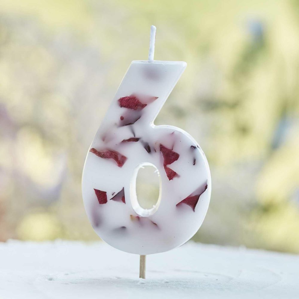 Cake Candles |   Pressed Petal Number 6 Birthday Cake Candle Cake Candles Cake Candles