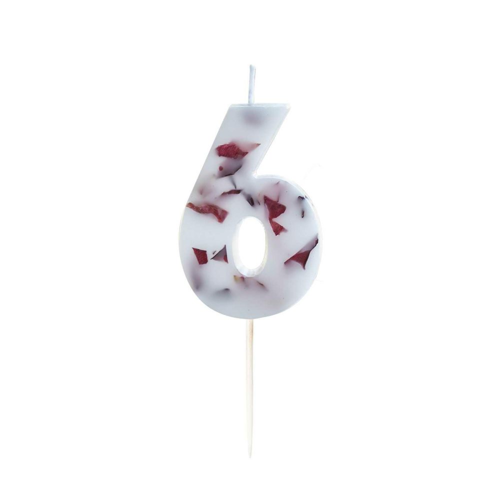 Cake Candles |   Pressed Petal Number 6 Birthday Cake Candle Cake Candles Cake Candles